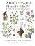 New York and the Adirondacks: A Forager’s Guide to Wild Food, Medicinal Herbs, and Natural Remedies (Where the Wild Plants Grow: Illustrated Foraging Guides)