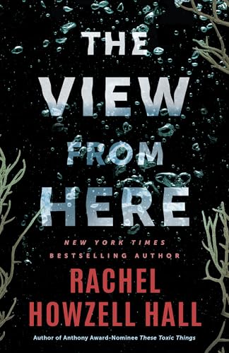 The View from Here: A Thriller (Kindle Edition)