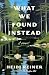 What We Found Instead: A Novel