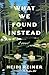What We Found Instead: A Novel