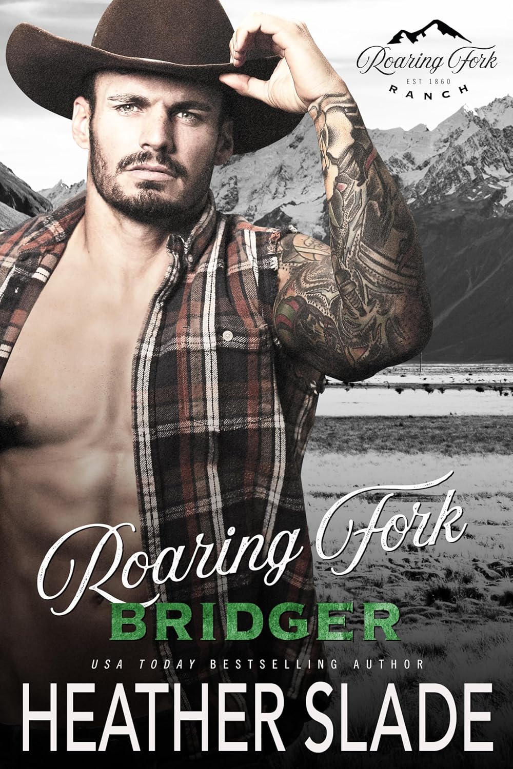 Roaring Fork Bridger (Roaring Fork Ranch #5)