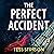 The Perfect Accident: an ab...