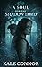 A Soul for the Shadow Lord by Kale Connor