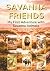 Savanna Friends: Fun Africa...