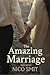 The Amazing Marriage -3rd Edition by Nico Smit