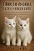 Turkish Angora Cats for Beg...