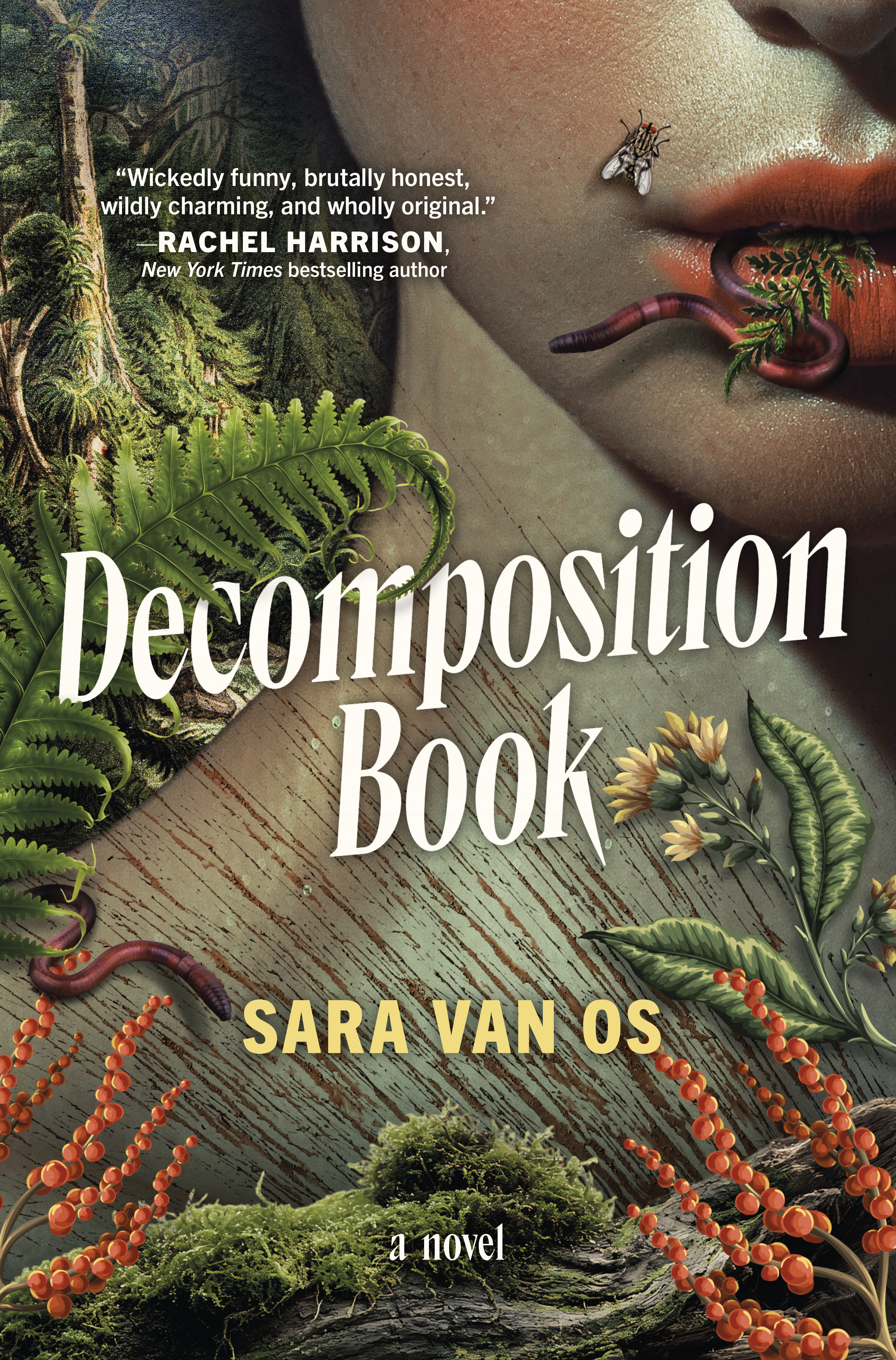 Decomposition Book (Hardcover)