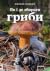 Як і де збирати гриби