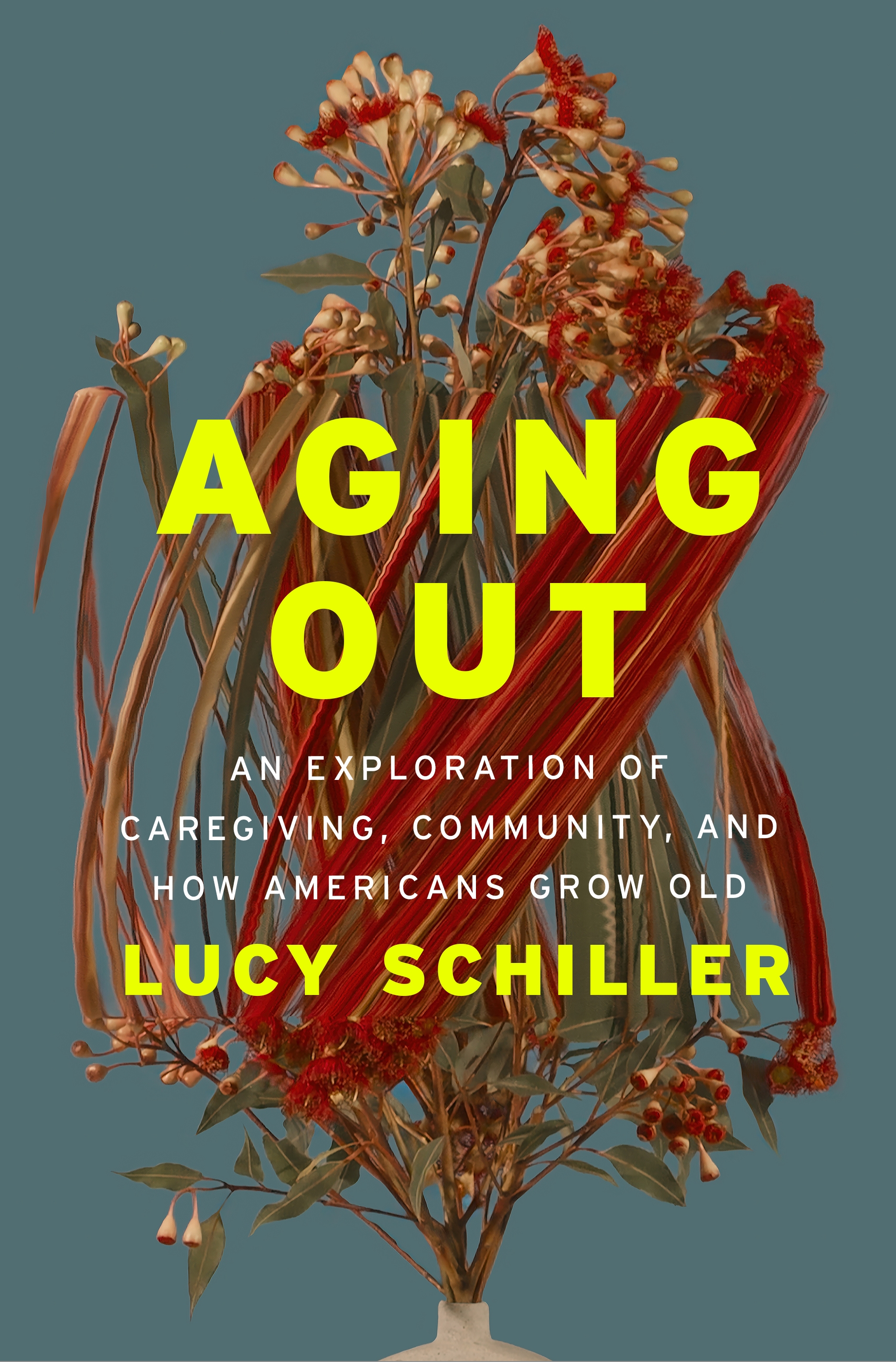 Aging Out: An Exploration of Caregiving, Community, and How Americans Grow Old (Hardcover)