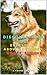 Discover your dog: Everything about the breed: Norsk Buhund