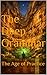 The Deep Grammar: The Age of Practice (The Dreamsmith Chronicles: The Zaphenath-Paneah Quartet Book 4)