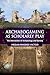Archaeogaming as Scholarly Play: The Intersection of Archaeology and Gaming