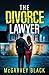 The Divorce Lawyer