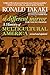 A Different Mirror for Young People: A History of Multicultural America (For Young People Series)