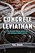 Concrete Leviathan: The Interstate Highway System and State Building in Modern America