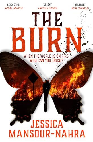 The Burn (Kindle Edition)