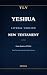 The Real New Testament (YLV) by Elijah Yun