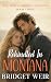 Rekindled In Montana (The B...