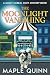 The Moonlight Vanishing by Maple Quinn The Moonlight Vanishing by Maple Quinn