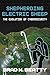 Shepherding Electric Sheep: The Evolution of Cybersecurity