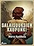 Salaisuuksien kaupunki (Vaaran vuodet Book 2) (Finnish Edition)