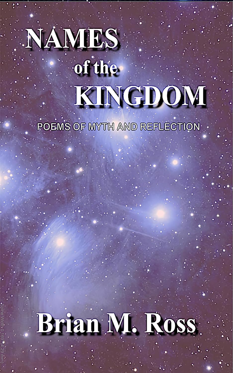 Names of the Kingdom (Kindle Edition)