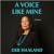 A Voice Like Mine