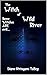 The Witch of Wild River: So...