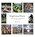 Highland Park: Frederick La...