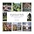 Highland Park: Frederick La...