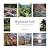 Highland Park by Debi Bower