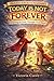 Today Is Not Forever (Stucc...