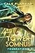 Foundations: A LitRPG Adventure (Tower of Somnus)