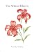 The Wilted Bloom