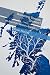 Branching Threads Scotland:...