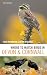 Where to Watch Birds in Dev...