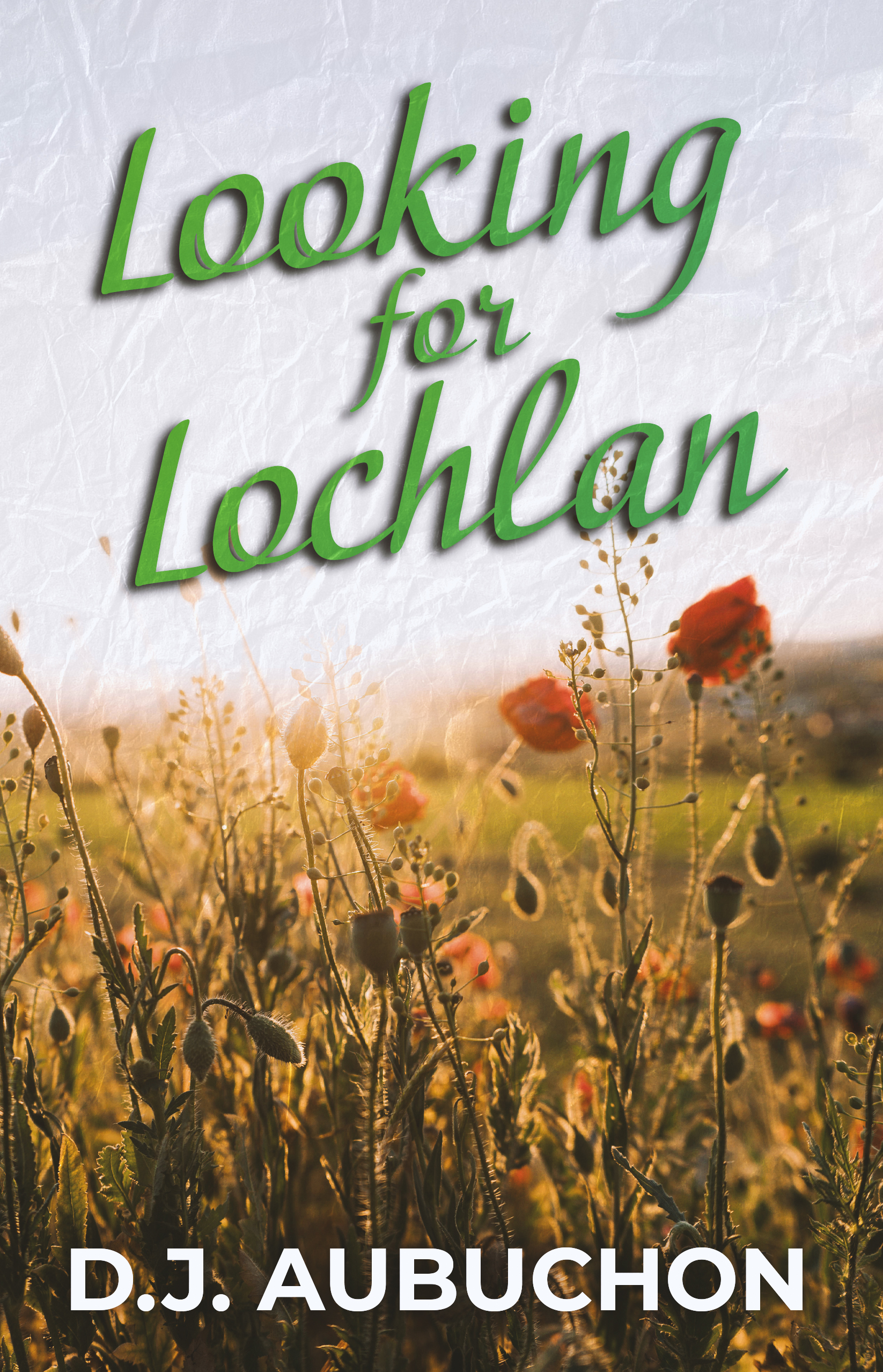 Looking for Lochlan (Paperback)