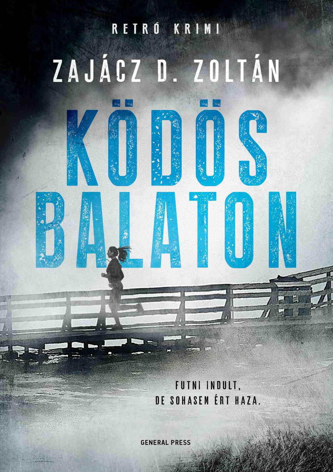 Read Ködös ​Balaton (Véres Balaton, #5)