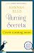 Burning Secrets: A cosy mystery set in Cornwall (Lily Larkin Mysteries Book 8)