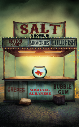 Salt (Paperback)