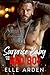 Surprise Baby for the Bad Boy: An Off-Limits, Brother’s Best Friend Romance