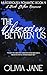 The Obsession Between Us (Murderously Romantic #4)