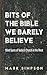 Bits of the Bible We Barely Believe by Mark Simpson