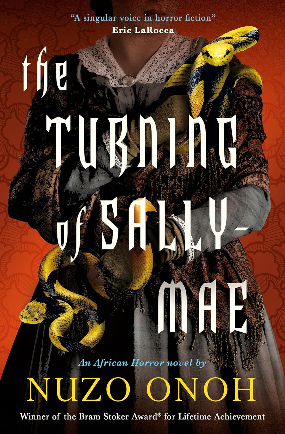 The Turning of Sally-Mae (Kindle Edition)
