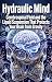 Hydraulic Mind: Cerebrospin...