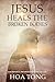 Jesus Heals The Broken Bodies by Hoa Tong