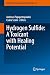 Hydrogen Sulfide: A Toxican...
