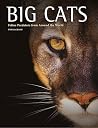 Big Cats: Feline ...