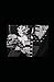 Crumble Into Rubble: An Ess...