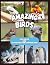 Amazing Birds - Fun Facts a...